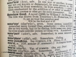 IMG_4488 (2) someone