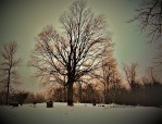 country graveyard in the snow