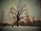 country graveyard in the snow