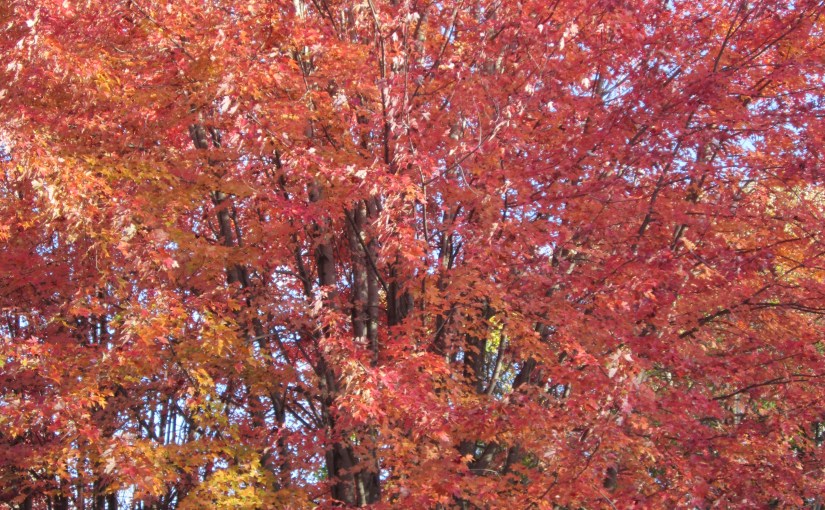 Change of Season — The perfect time to pitch&nbsp;in